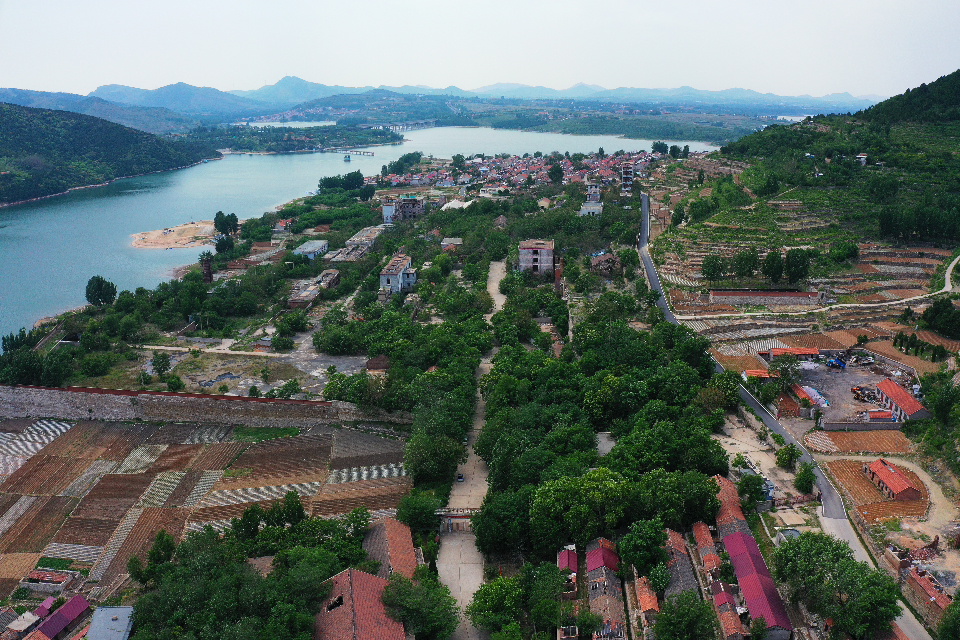 山东东风化肥厂